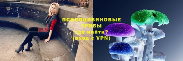 ПСИЛОЦИБИНОВЫЕ ГРИБЫ Медногорск