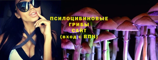 спиды Мегион