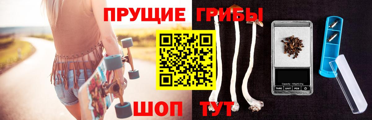 Псилоцибиновые грибы мухоморы Новомосковск