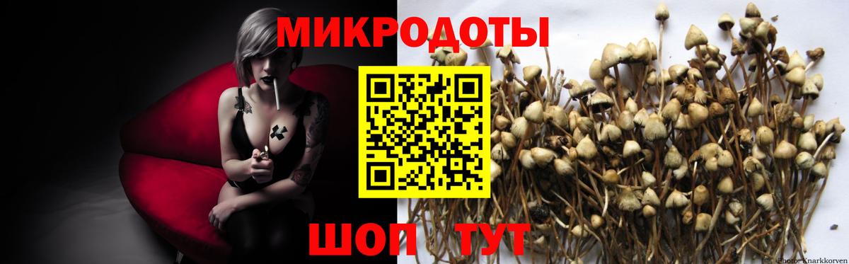Псилоцибиновые грибы ЛСД  Вход с VPN  Новомосковск 
