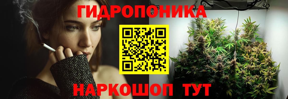 Шишки марихуана White Widow Новомосковск